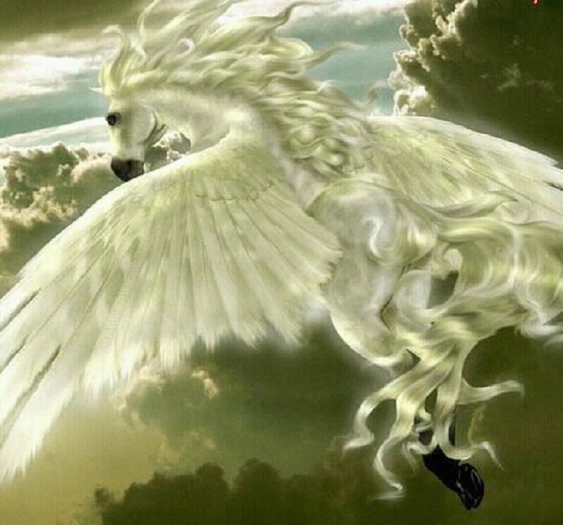 White Winged Horse — Dramatic, Digital Art