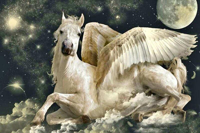 White Winged Horse — Dramatic, Night, Digital Art