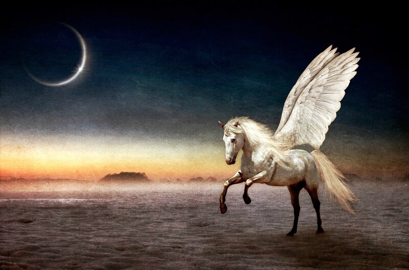 White Winged Horse — Dramatic, Sunset, Digital Art, Moon
