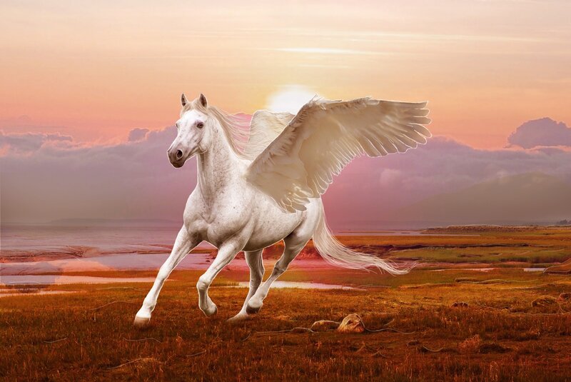 White Winged Horse — Dramatic, Sunset, Digital Art