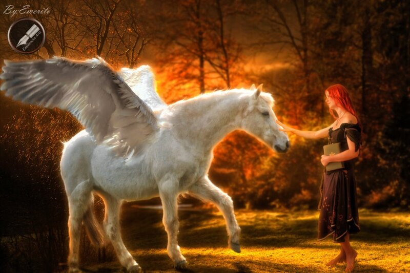 White Winged Horse — Dramatic, Sunset