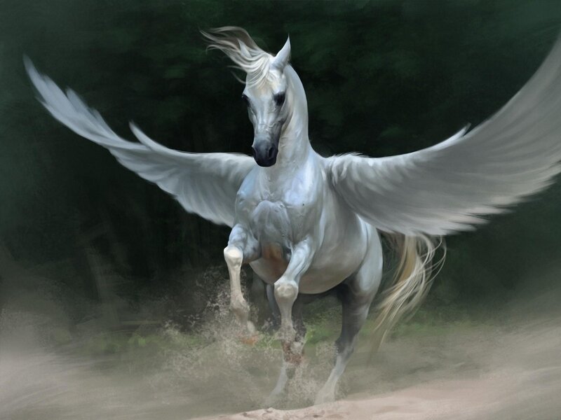 White Winged Horse — Dynamic, Digital Art, Wings, Dust, Forest, Green, Brown