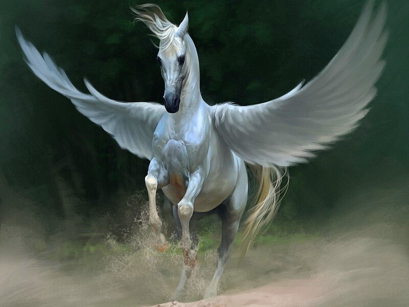 White Winged Horse — Dynamic, Digital Art, Wings, Dust, Forest