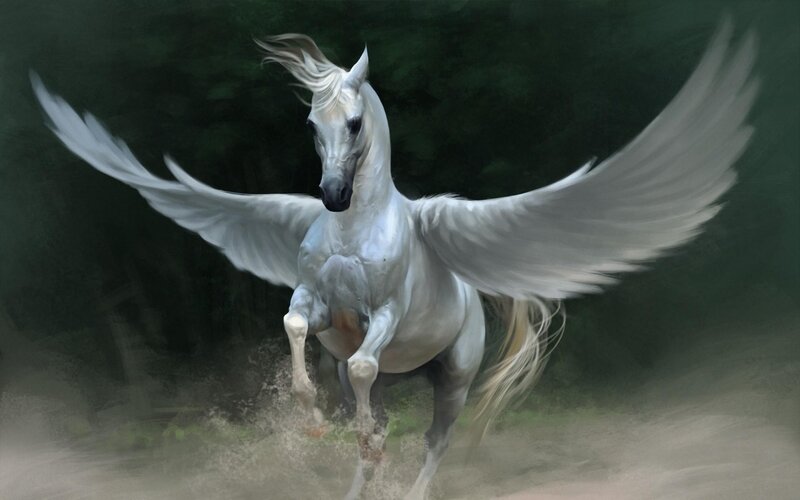 White Winged Horse — Dynamic, Digital Art, Wings, Dust