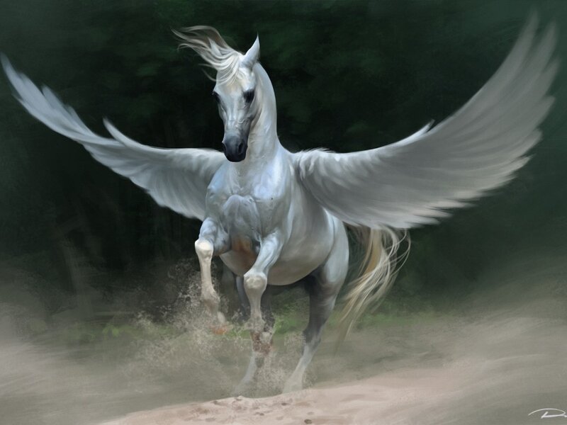 White Winged Horse — Dynamic, Digital Art, Wings