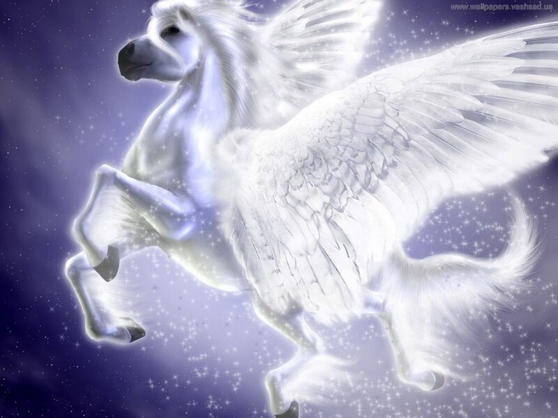 White Winged Horse — Ethereal, Night