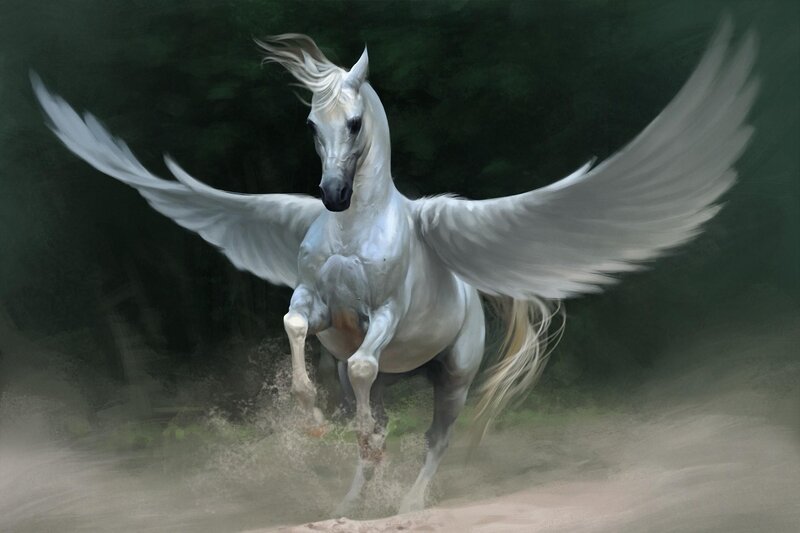 white winged horse galloping