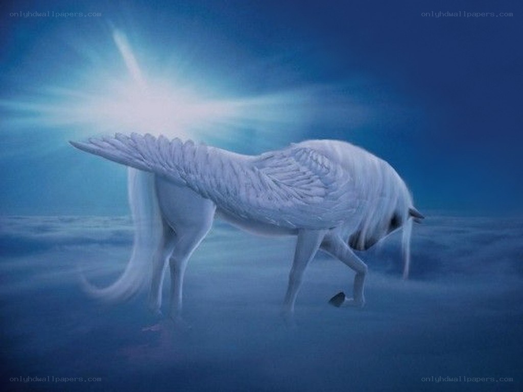 white winged horse in blue light