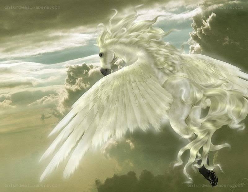 white winged horse in clouds