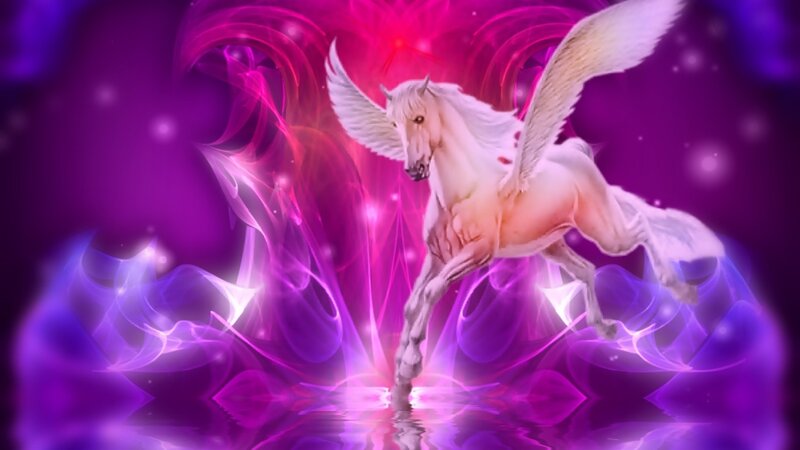 white winged horse in purple light