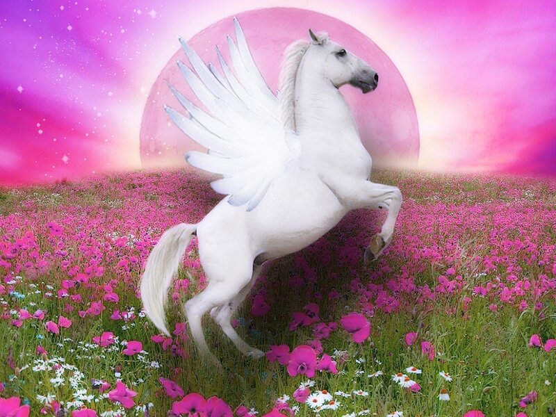 White Winged Horse — Pink, Fantastical