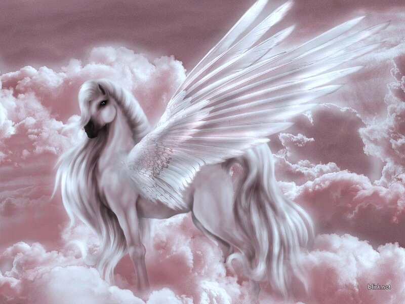 White Winged Horse — Pink, Serene