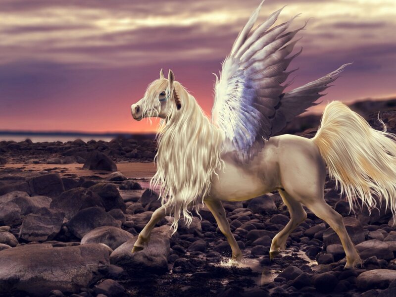 White Winged Horse — Purple, Dramatic, Sunset, Digital Art