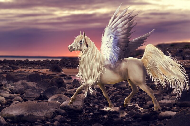 White Winged Horse — Purple, Dramatic, Sunset
