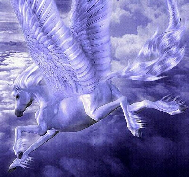 White Winged Horse — Purple, Dramatic