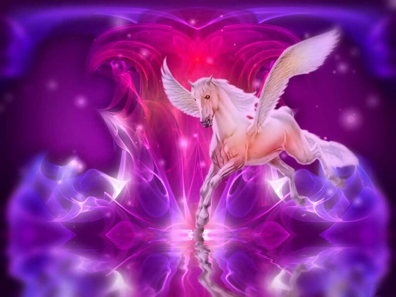 White Winged Horse — Purple, Magical