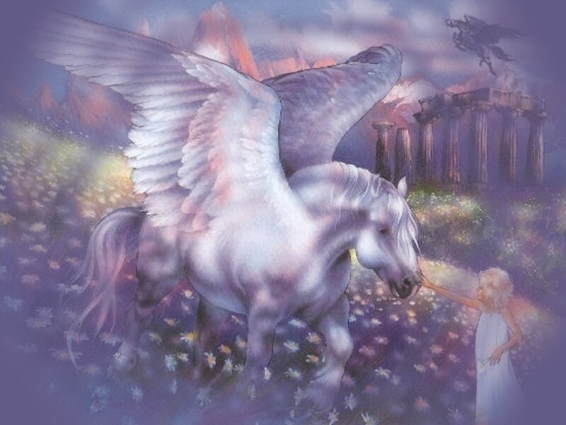 White Winged Horse — Purple