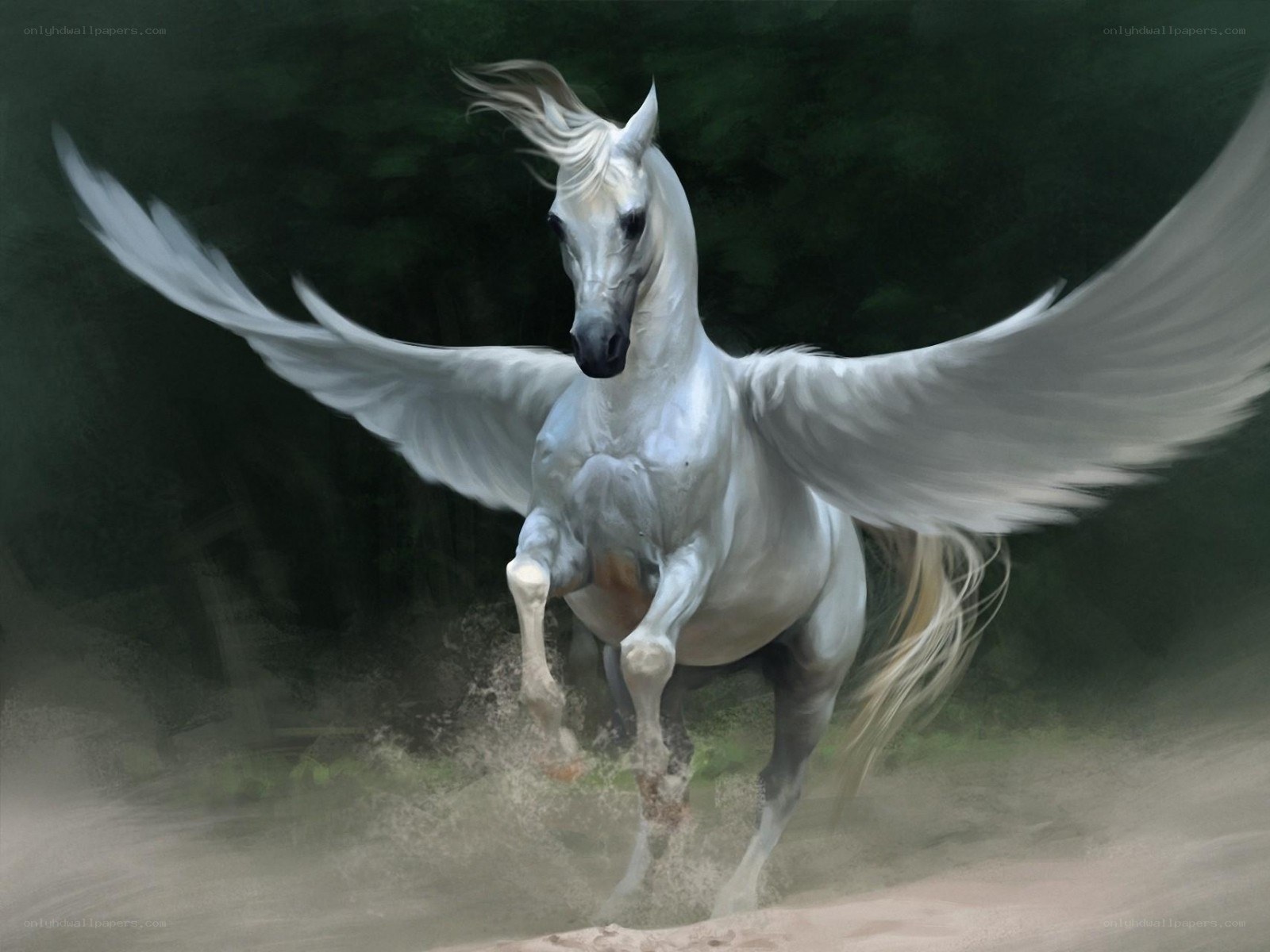white winged horse running