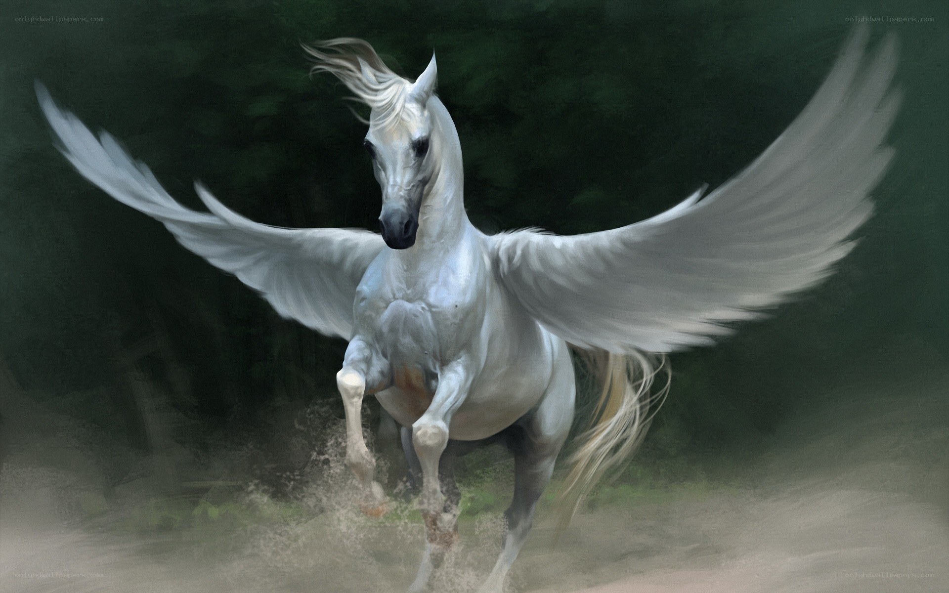 white winged horse running