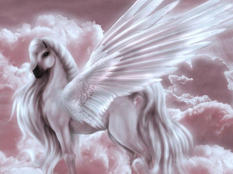 White Winged Horse — Serene, Digital Art