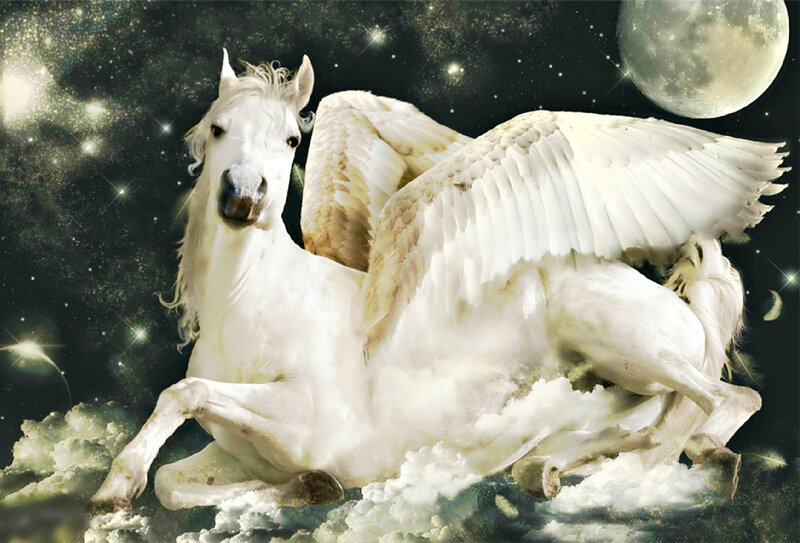 White Winged Horse — Serene, Night