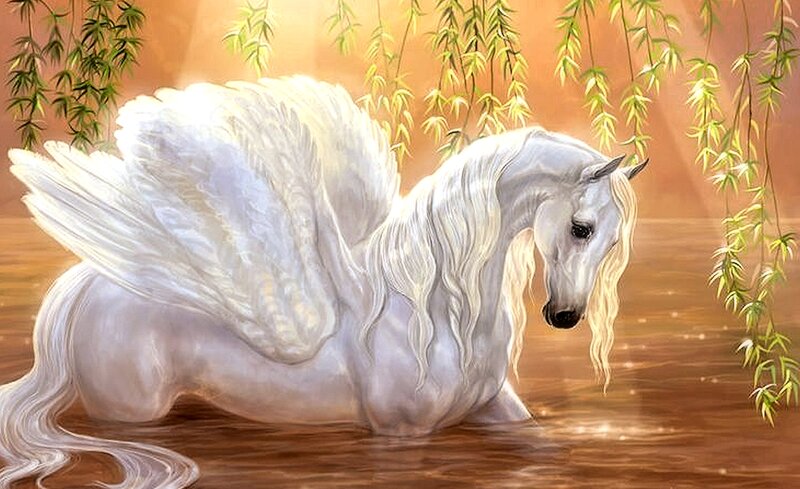 White Winged Horse — Serene, Sunset