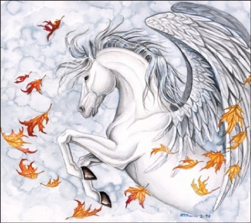 White Winged Horse — Serene