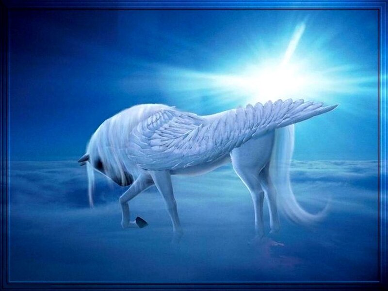 White Winged Horse