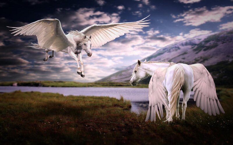 White Winged Horses — Dramatic