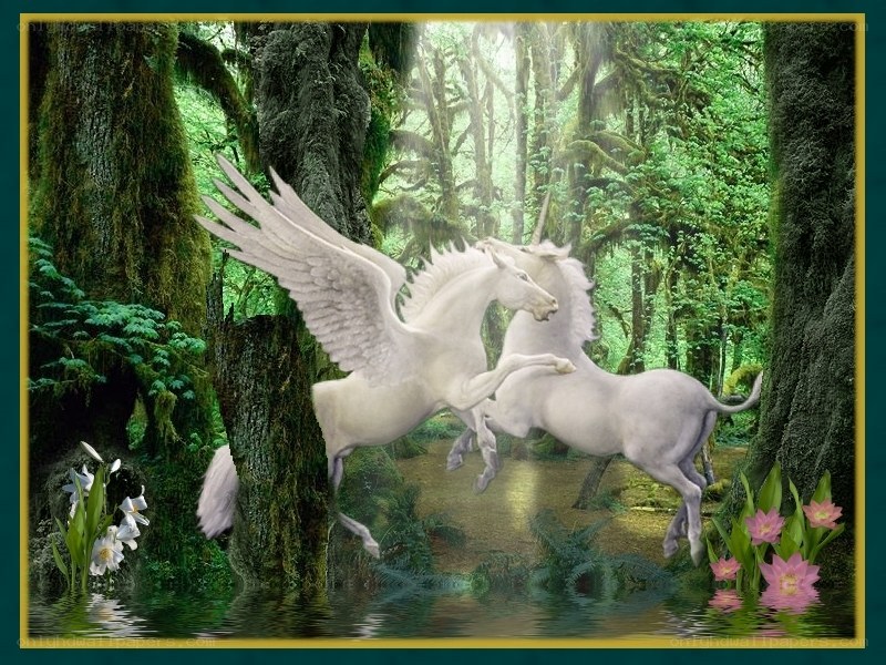 White winged horses in forest