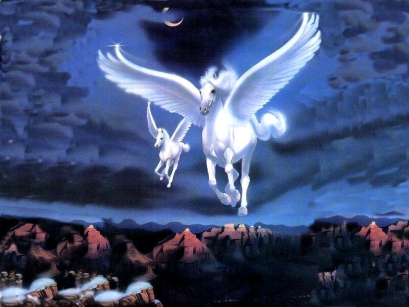 White Winged Horses