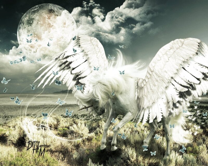 White Winged Unicorn — Dramatic, Night, Digital Art