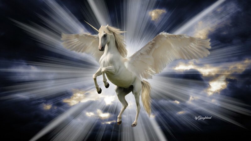 White Winged Unicorn — Dramatic, Night, Digital Art, Wings