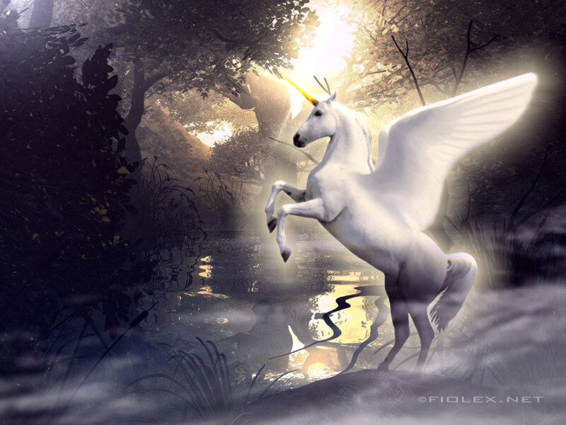 White Winged Unicorn — Dramatic