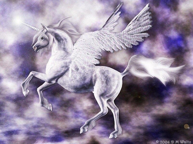 White Winged Unicorn — Fantastical, Night