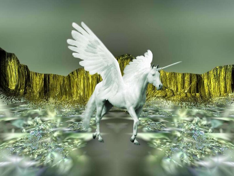 White Winged Unicorn — Fantastical