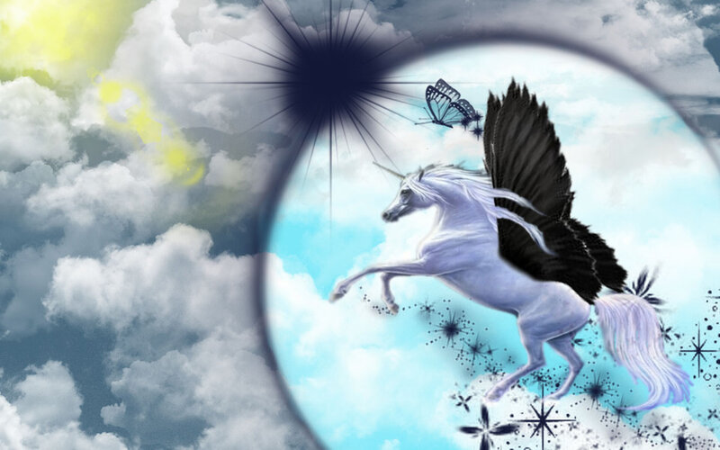 White Winged Unicorn — Fantasy, Digital Art