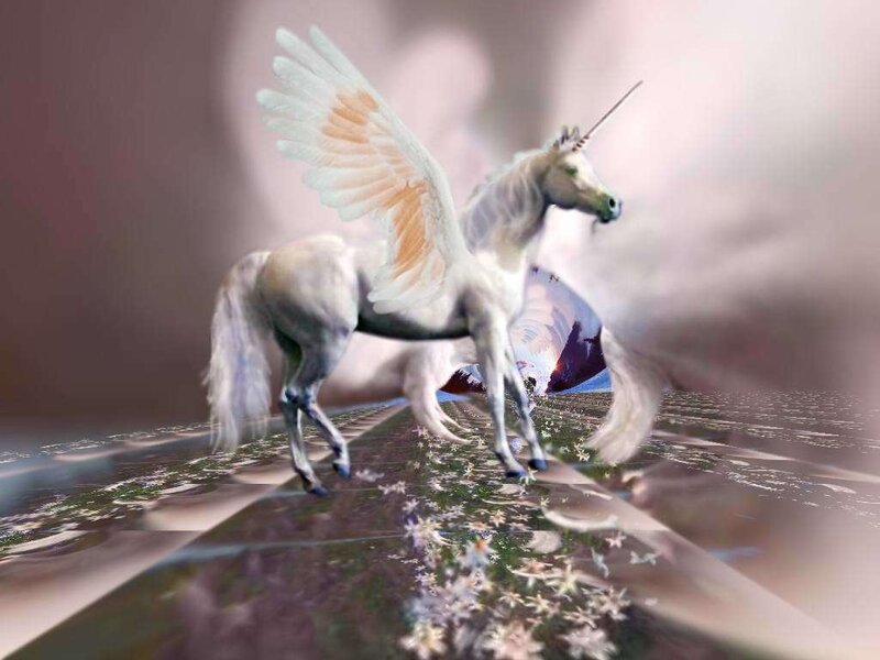 White Winged Unicorn — Fantasy