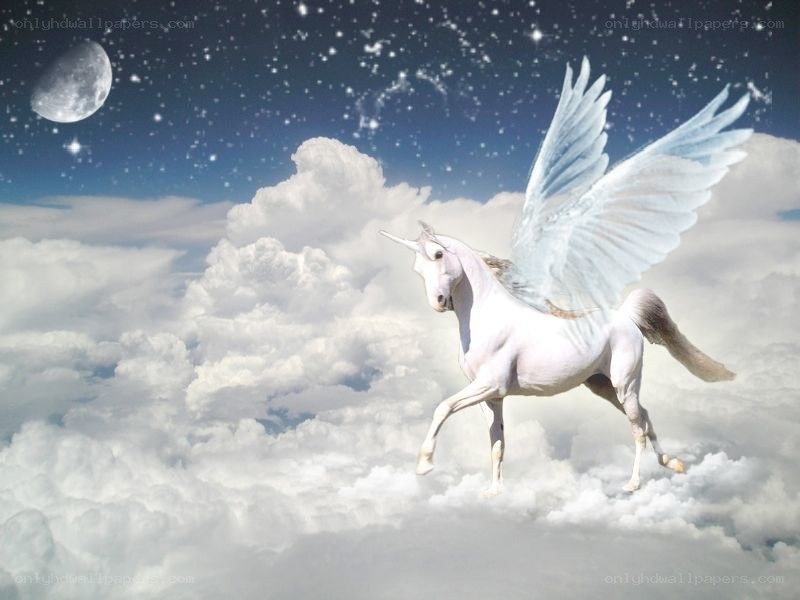 white winged unicorn in clouds
