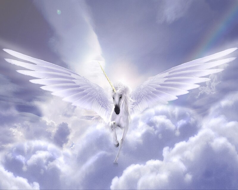 White winged unicorn in clouds