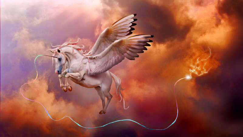 White Winged Unicorn — Orange