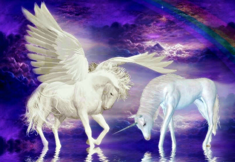 White Winged Unicorn — Purple, Fantasy