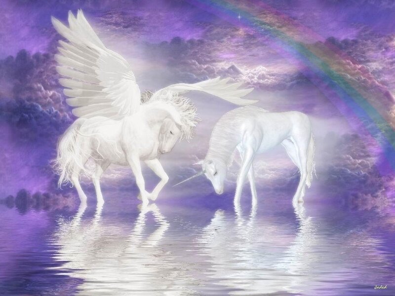 White Winged Unicorn — Purple, Serene, Digital Art, Rainbow