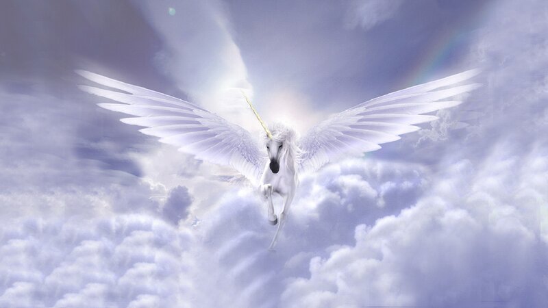 White Winged Unicorn — Serene, Digital Art, Wings, Clouds