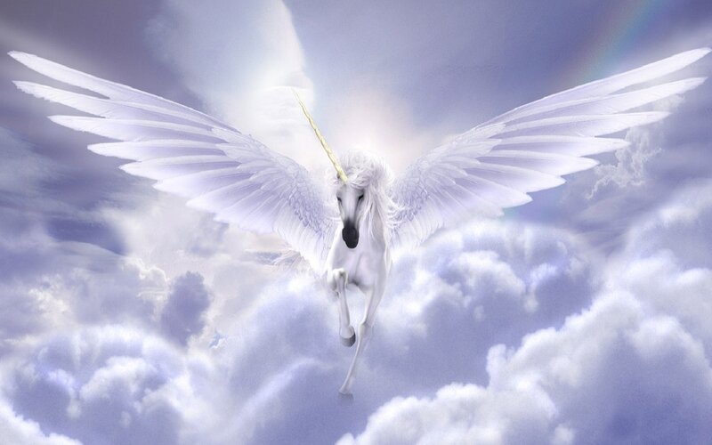 White Winged Unicorn — Serene