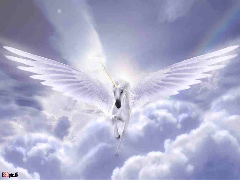 White Winged Unicorn