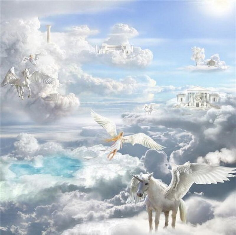 White Winged Unicorns — Serene