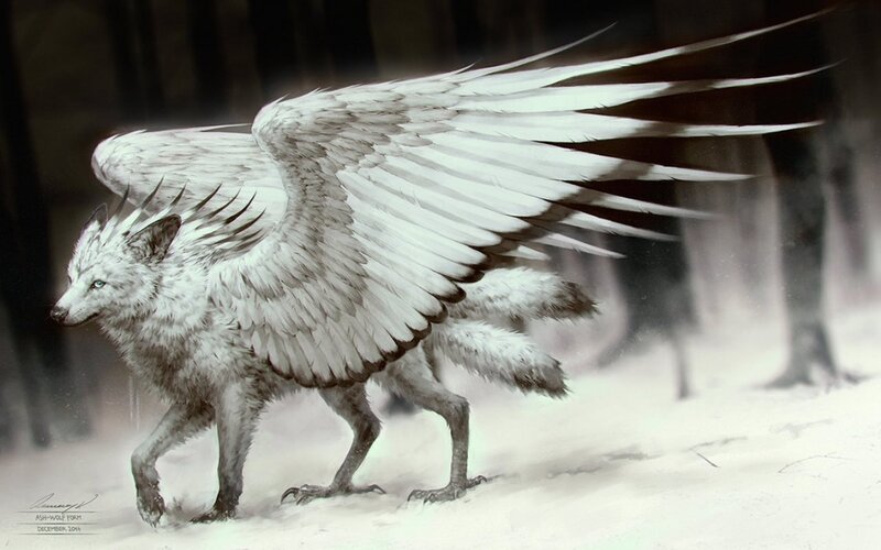 White Winged Wolf — Dramatic, Winter