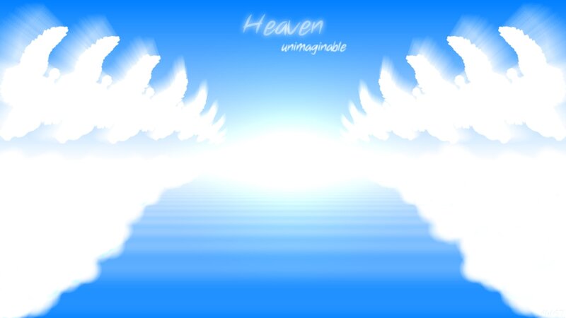 White Wings in Sky