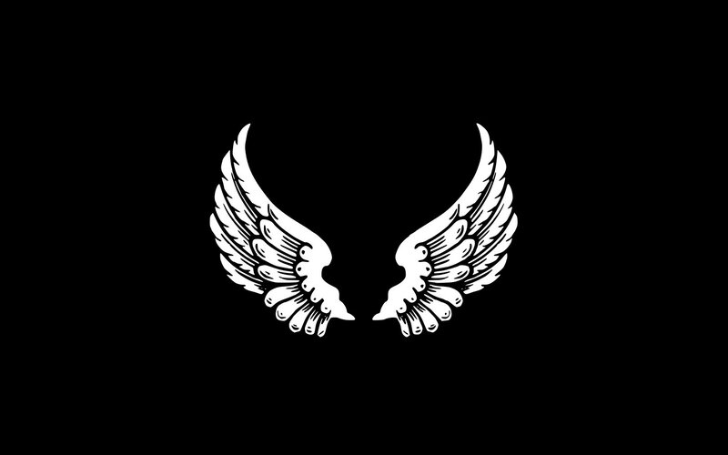 white wings on black background